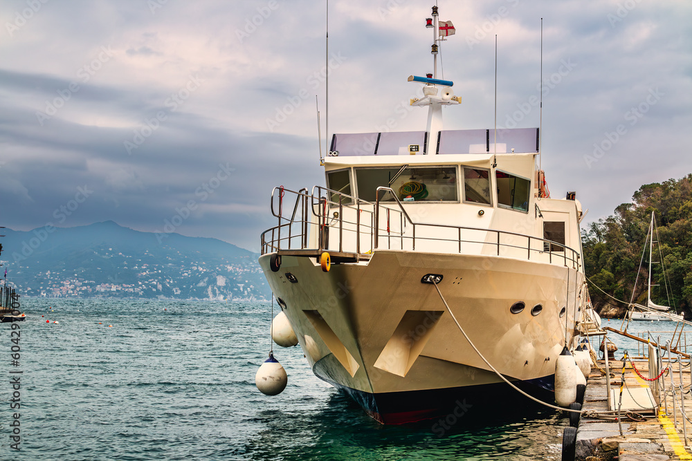 Naklejka premium Where dreams set sail: A prestigious yacht anchors in Portofino, a captivating destination that beckons discerning travelers to experience the epitome of indulgence and maritime elegance.
