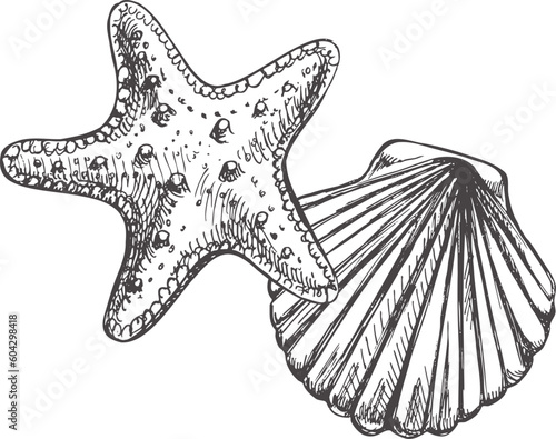 Realistic hand drawn sketch of saltwater scallop seashell, clam, conch and marine Starfish. Scallop sea shell, sketch style vector illustration isolated on white background.