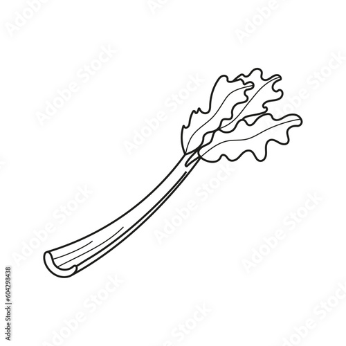 Vector illustration of celery stalk in doodle style.