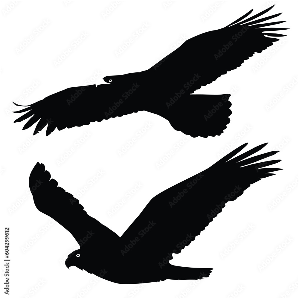 Demonstrating territorial behavior, the eagle activities vector depicts the bird in a display of dominance. With wings spread wide and a fierce expression. Demonstrating territorial behavior, the eagle activities vector depicts the bird in a display of dominance. With wings spread wide and a fierce expression.