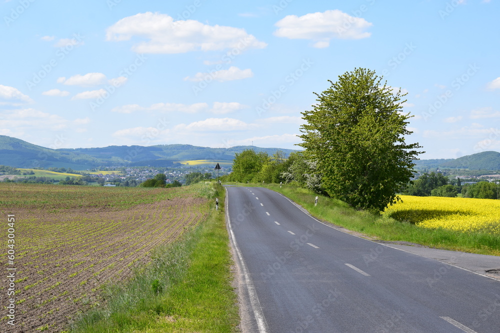 Country Road in Spring