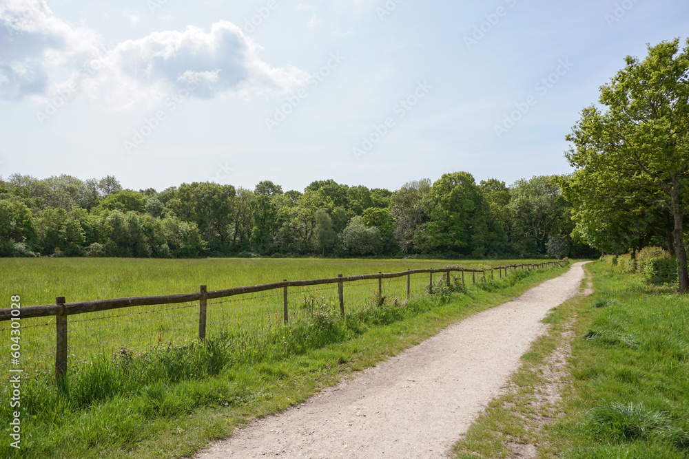 Countryside scene with track alongside fenced field and woodland. Sunny day walk in rural England 
