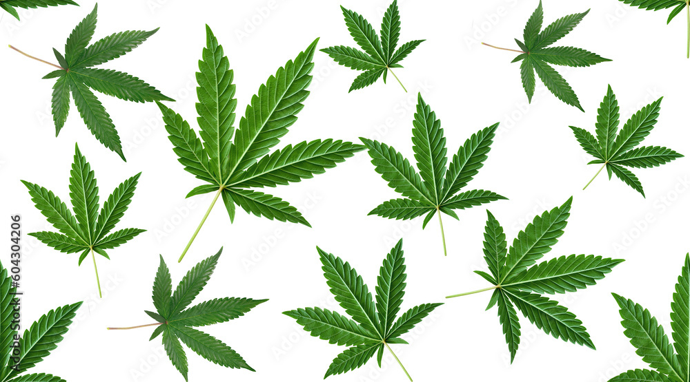 Marijuana leaf. Marijuana leaf background arranged in a seamless pattern. media illustration fabric pattern Marijuana leaf. Marijuana leaf background arranged in a seamless pattern. media illustration fabric pattern