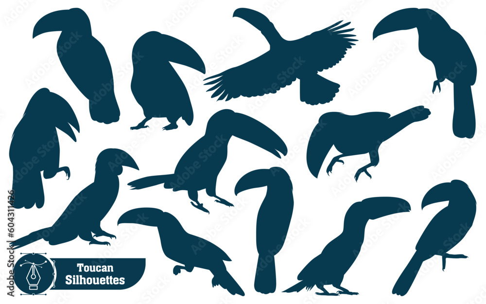 Obraz premium Animal Bird Toucan Silhouettes vector illustration