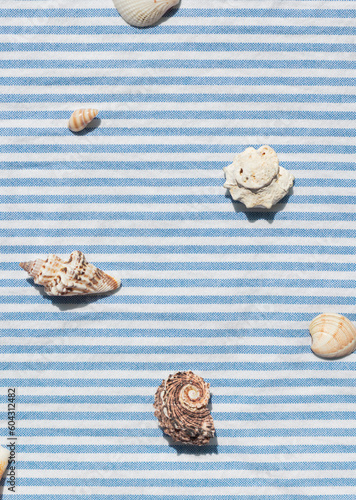 Different kinds of seashells on the blue striped fabric background top view