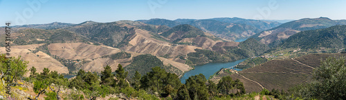 Viewpoint of Vargelas allows to see a vast landscape on the Douro and its man-made slopes. Douro Region, famous Port Wine Region, Portugal. photo