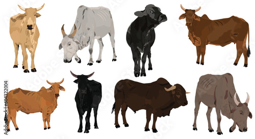 Farm animals set cow illustration vector set