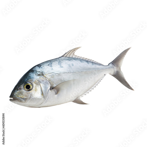 side view of Trevally fish isolated on a transparent background, Generative ai
