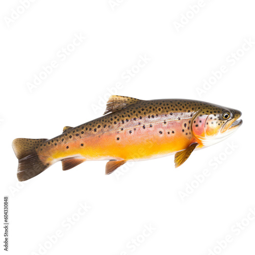 side view of Trout fish isolated on a transparent background, Generative ai