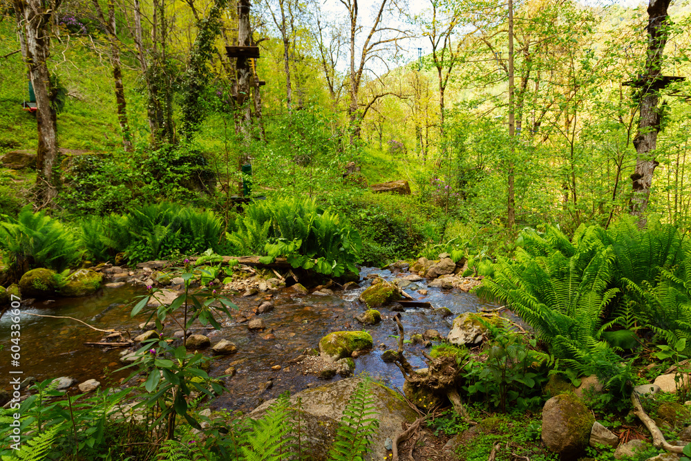 mountain river, surrounded by lush green forests and stunning landscapes mountain river, surrounded by lush green forests and stunning landscapes