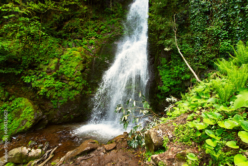 Majestic waterfall towering over the landscape  water stream falls from above from a rock onto stones