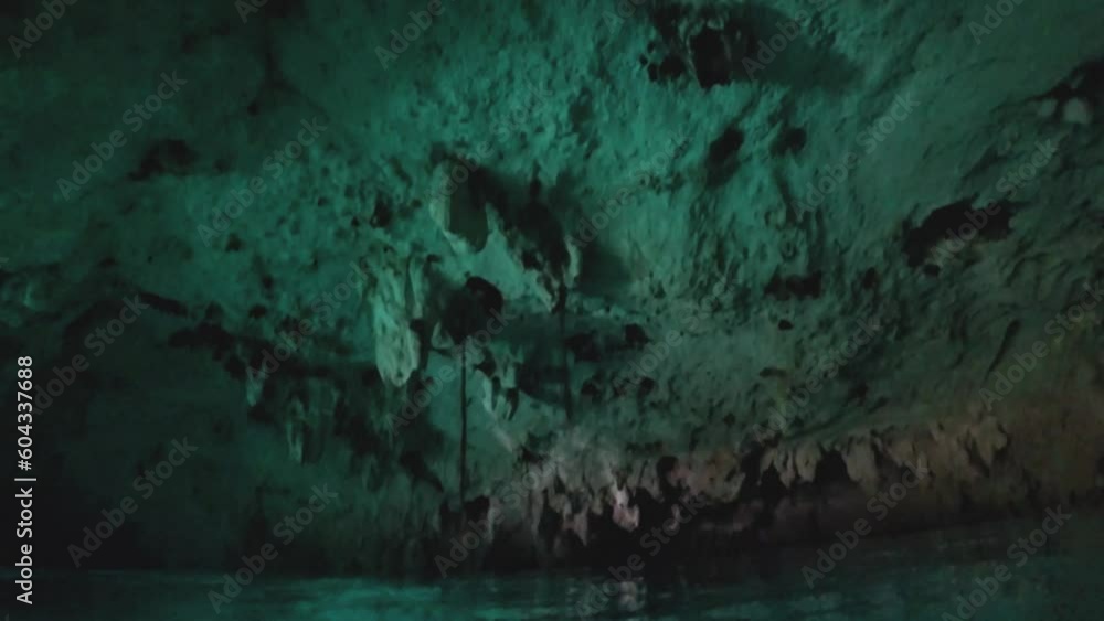 Diving up in cave in the 'Gran Cenote' natural limestone pool with flying bats in Tulum, Mexico Diving up in cave in the 'Gran Cenote' natural limestone pool with flying bats in Tulum, Mexico