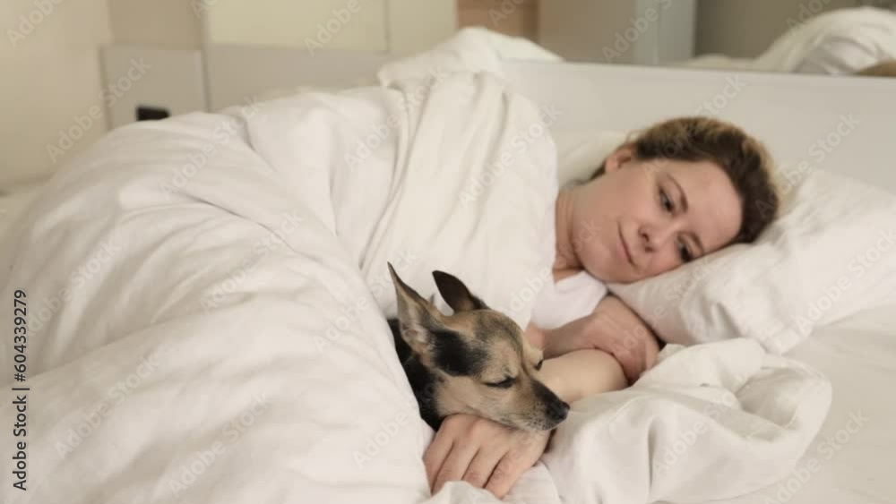 the dog sleeps with the owner in bed, a cute funny pet lies with a woman under the covers