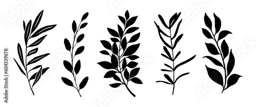 Set of leaves silhouette of beautiful plants, leaves, plant design. Vector illustration 