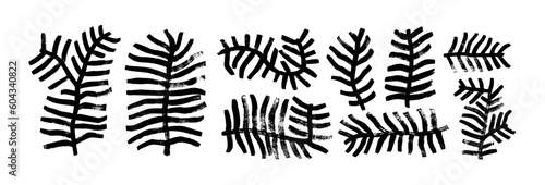 Collection of plant branches brush drawn with bold lines. Pine branches, evergreen trees or cedar twigs vector ink illustrations. Naive and primitive style drawings. Geometric shape twigs.