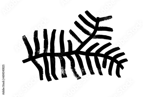 Plant branch brush drawn with bold lines. Pine branch, evergreen tree or cedar twig vector ink illustration. Naive and primitive style drawing. Botanical rustic element. Geometric shape plant.