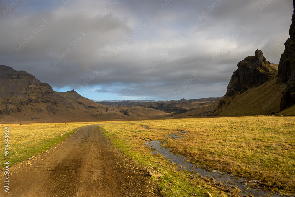 Gravel road among the mountains, south Iceland