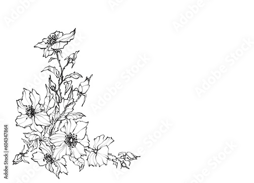 Hand-drawn line art of a bouquet composed of flowers and hawthorn leaves in black and white 