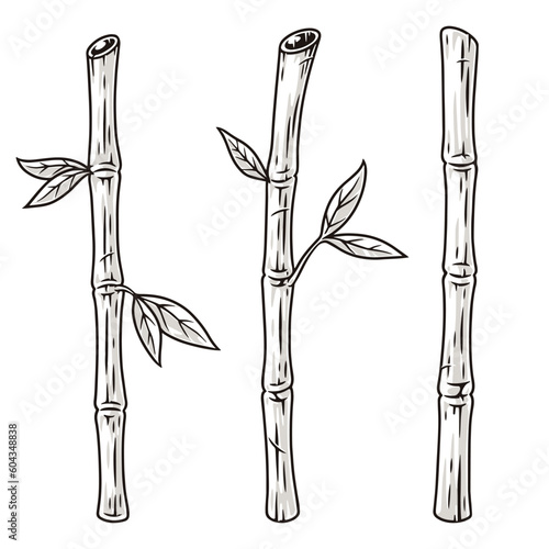 Bamboo sticks monochrome set element