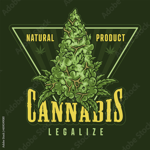 Cannabis legalization colorful detailed flyer