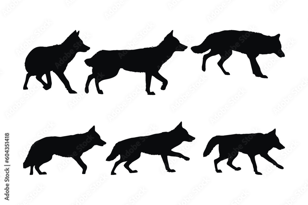 Wild coyote vector design on a white background. Coyote walking silhouette bundle design. Coyote wolf standing silhouette set vector. Coyote standing in different positions silhouette collection.