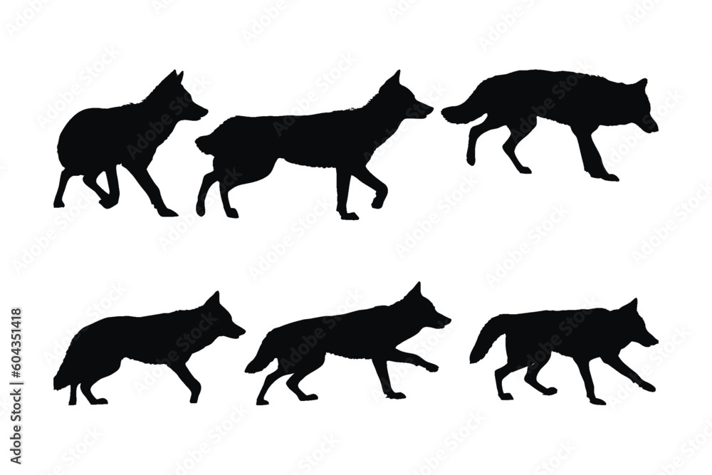 Wild coyote vector design on a white background. Coyote walking silhouette bundle design. Coyote wolf standing silhouette set vector. Coyote standing in different positions silhouette collection. Wild coyote vector design on a white background. Coyote walking silhouette bundle design. Coyote wolf standing silhouette set vector. Coyote standing in different positions silhouette collection.