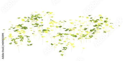 3d illustration of shamrock bush isolated on transparent background eyes human view