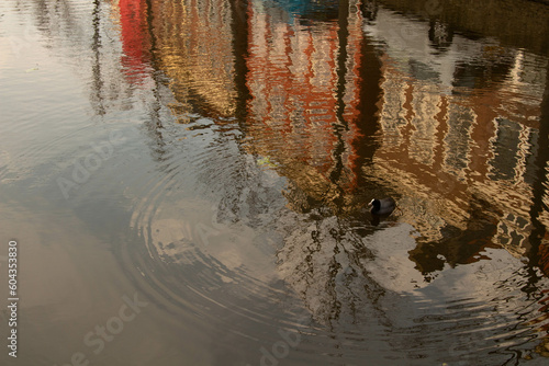 Beautiful reflex on the water. Spring 2023, Netherlands. 