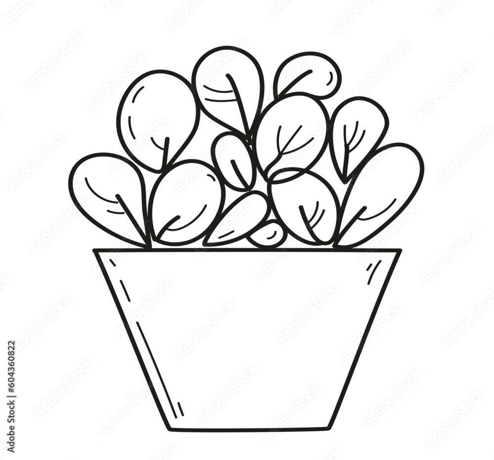 house plant on pot. Hand drawn doodle outline vector illustration. house plant on pot. Hand drawn doodle outline vector illustration.