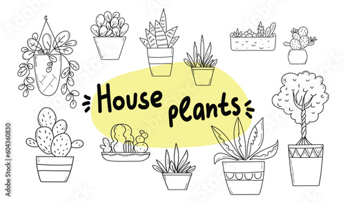 Home plants in a pot black and white doodle drawing set. Hand drawn vector illustration.
