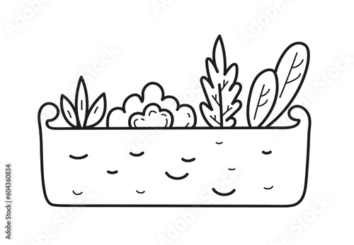 Decorative box with succulents. Home garden. Hand drawn doodle outline vector illustration.