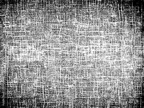 Black and white vector overlay texture of old leather with veins.