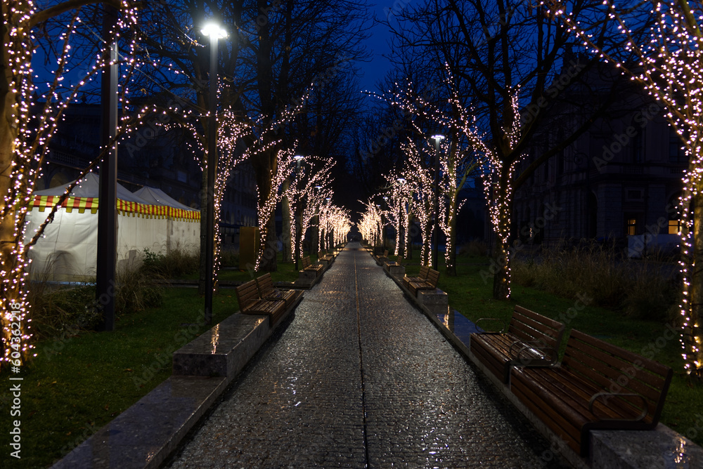 Obraz premium a tree-lined and paved avenue with romantic lighting