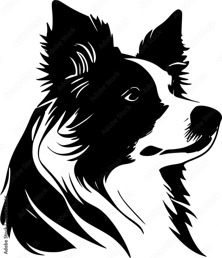 Obraz premium Border Collie | Black and White Vector illustration