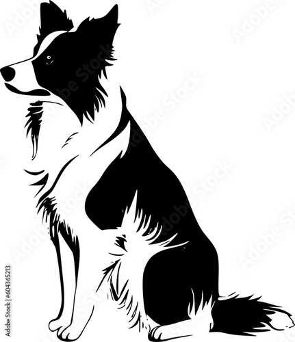 Border Collie - Black and White Isolated Icon - Vector illustration