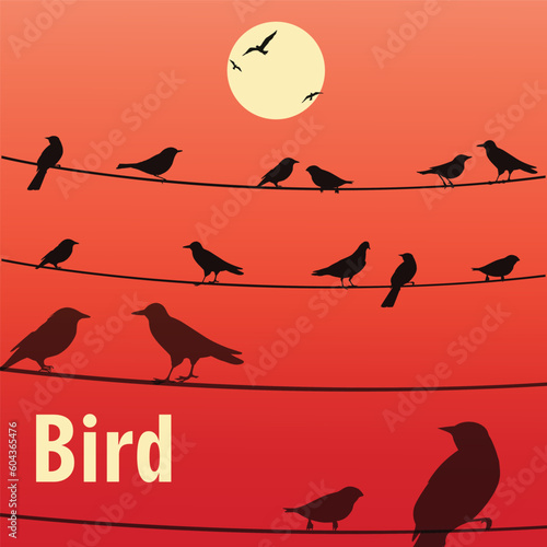 BIRD SILHOETE VECTOR photo