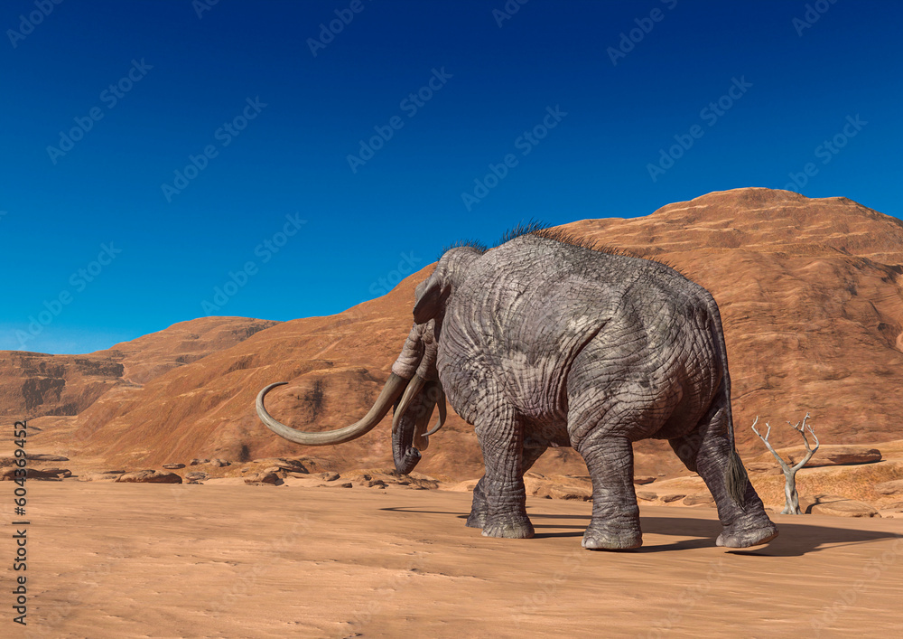 Fototapeta premium colossadon mammoth is walking on the dry desert in rear view with copy space