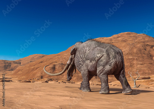 colossadon mammoth is walking on the dry desert in rear view with copy space © DM7