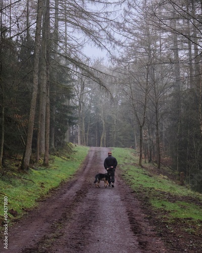 Man and black dog (German shepherd) taking a walk in the foggy woods on muddy path