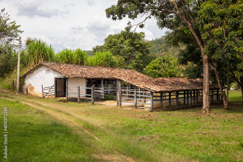 Organic farm of the Monastery of Macaúbas photo