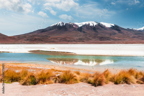 View of lagoon and volcanoes in Altiplano plateau  Bolivia.