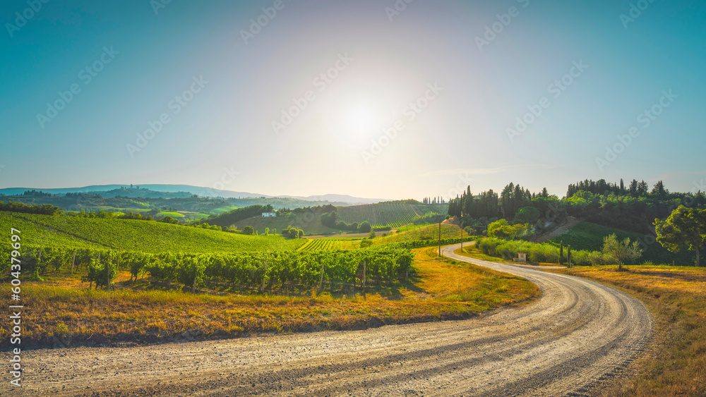 Fototapeta premium Road and vineyards in the San Gimignano countryside. Tuscany, Italy
