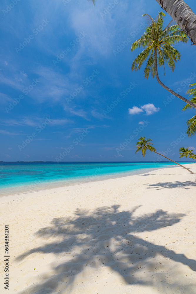 Best tropical beach landscape. Fantastic summer coast, vacation destination, palm trees, white sand, sunny sky. Freedom travel, amazing sea lagoon, paradise shore nature landscape. Beautiful beach