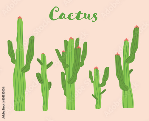 Illustration Mexican cactus and aloe. Desert spiny plant, mexico cacti flower and tropical home plants isolated vector collection