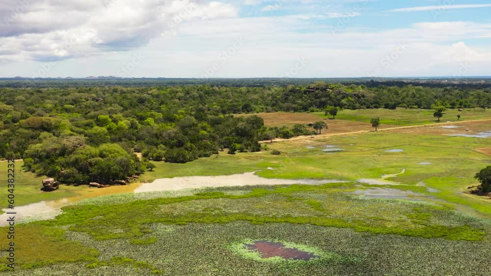Aerial view of Wetlands among the jungles in the national park of Sri Lanka. Aerial view of Wetlands among the jungles in the national park of Sri Lanka.