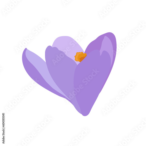 Collection of crocuses and saffrons. A set of spring purple, yellow and white crocuses. Vector illustration of beautiful multicolored flowers