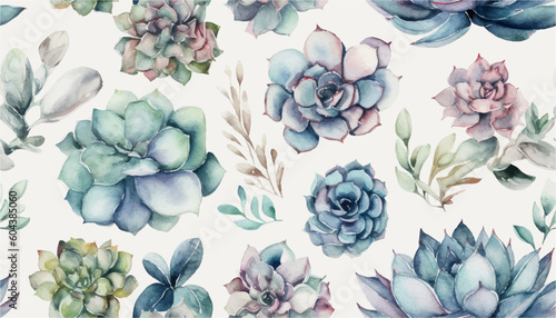 Succulent watercolor pattern, cacti and succulent plants on white background