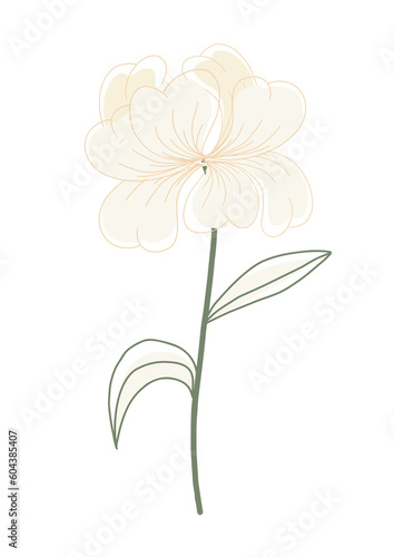 illustration of a flower