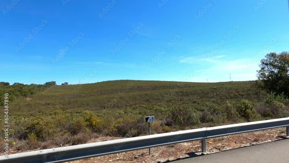 Portugal landscape with pine trees, cistus and lots of space with blue sky Portugal landscape with pine trees, cistus and lots of space with blue sky