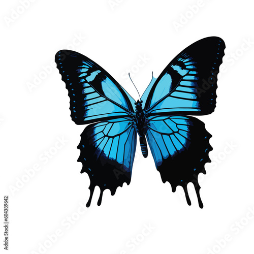 beautiful blue butterfly. vector